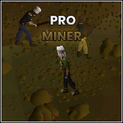 Pro Miner