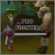 Pro Fighter