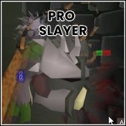Pro Slayer